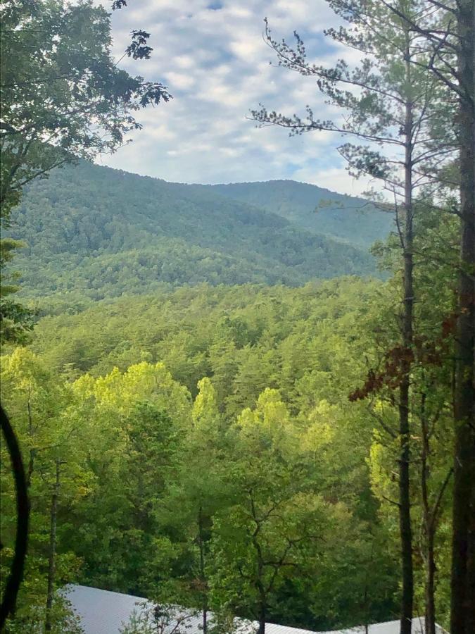 Mountain-Top Cabin Get-Away With Hot Tub And A View Sautee Nacoochee Luaran gambar