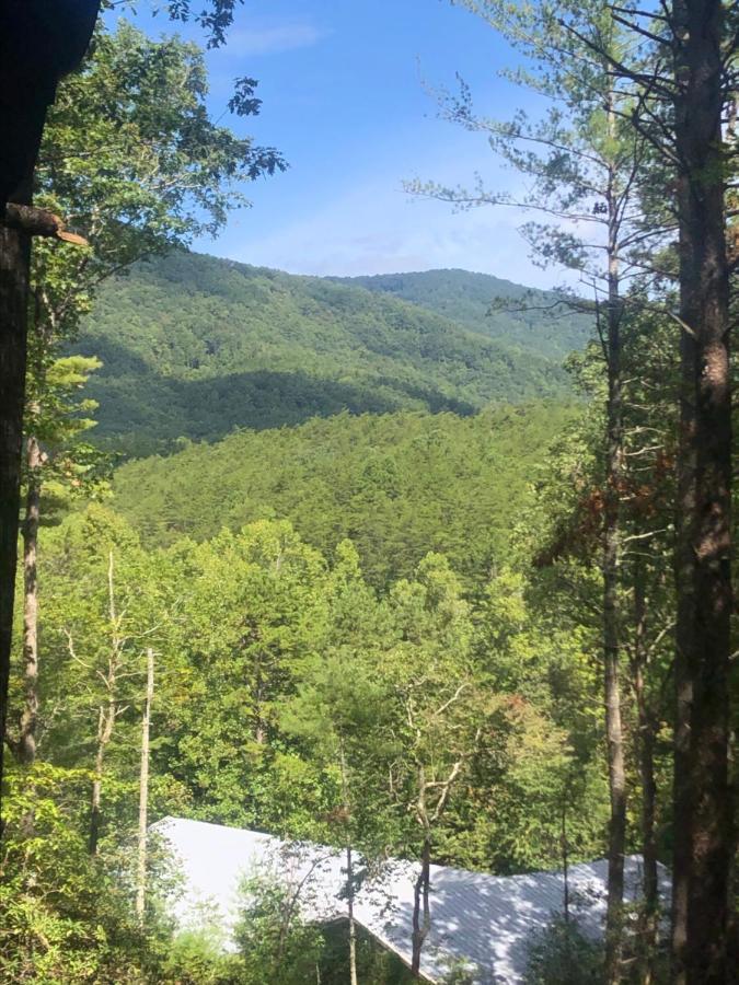 Mountain-Top Cabin Get-Away With Hot Tub And A View Sautee Nacoochee Luaran gambar